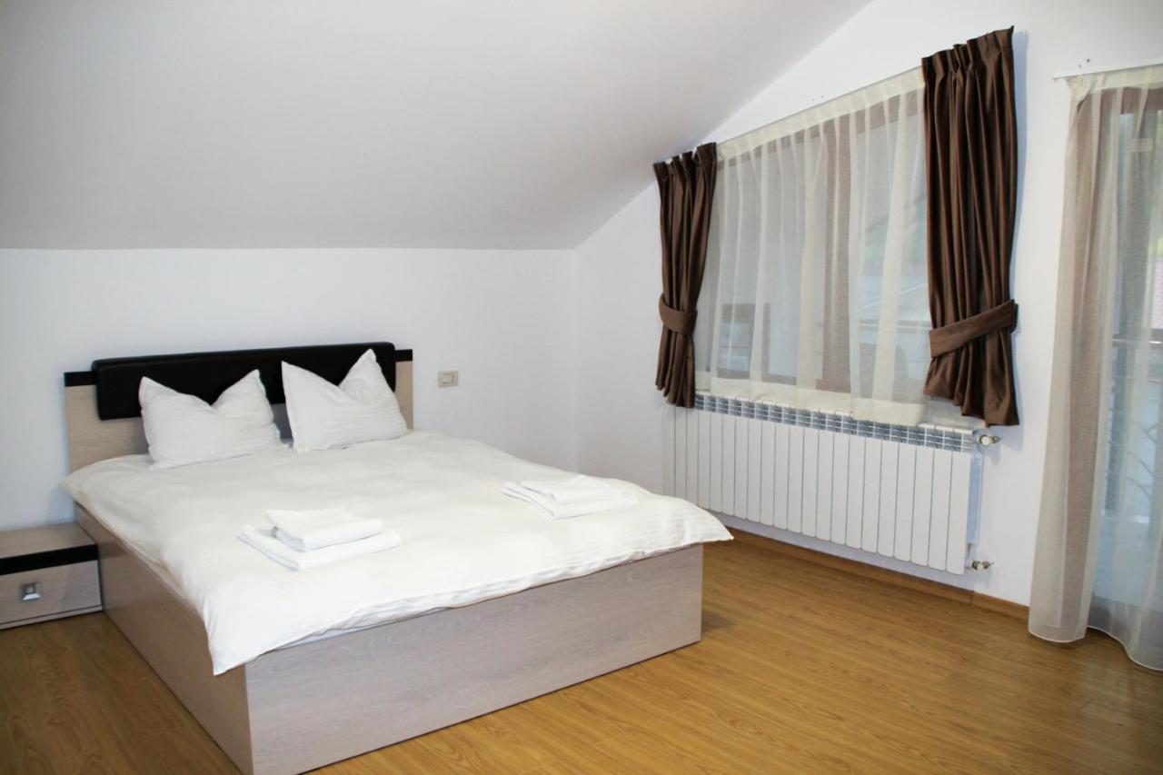 Hotel Corina Borşa Zewnętrze zdjęcie