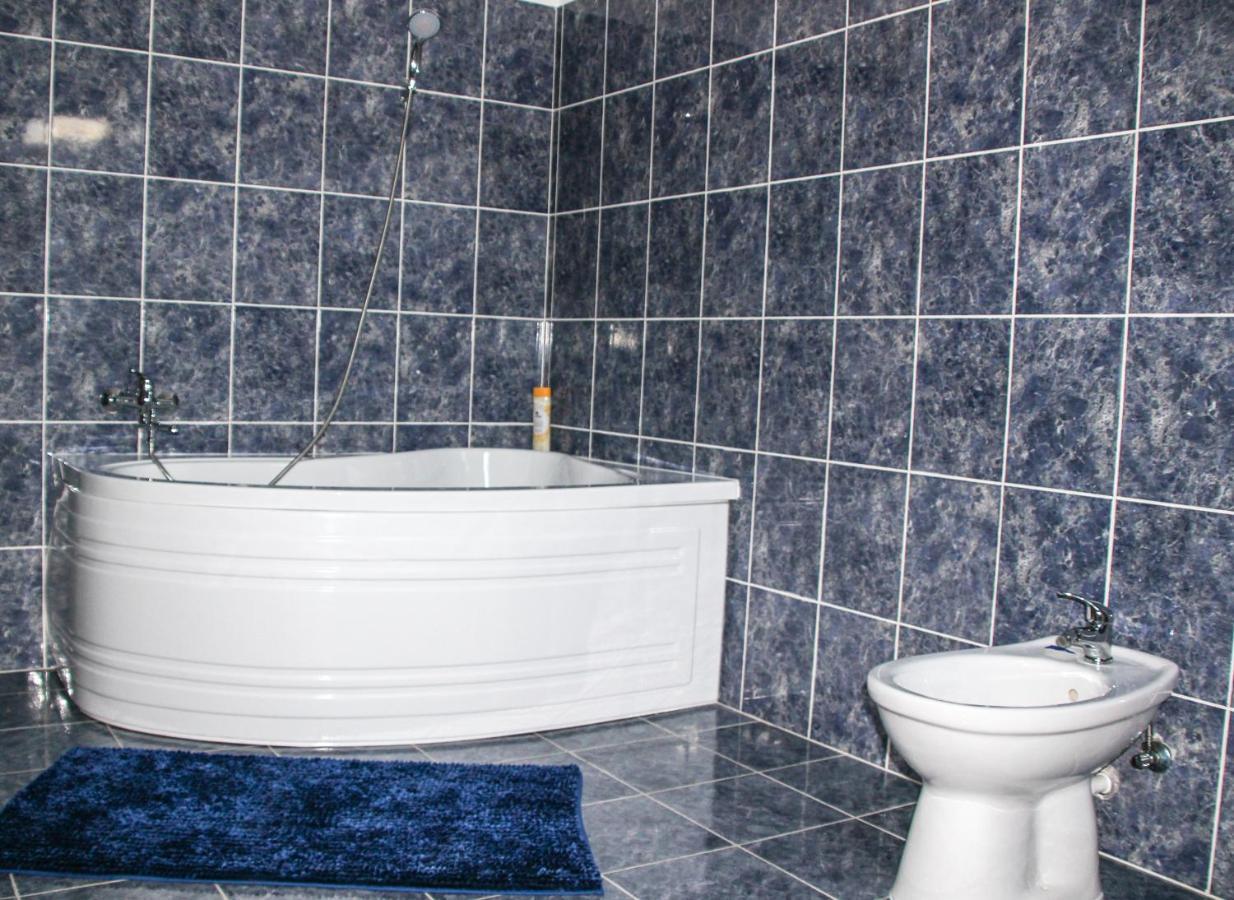Hotel Corina Borşa Zewnętrze zdjęcie