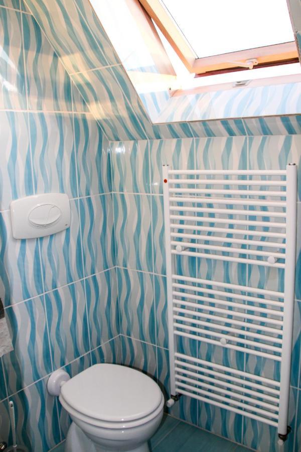 Hotel Corina Borşa Zewnętrze zdjęcie