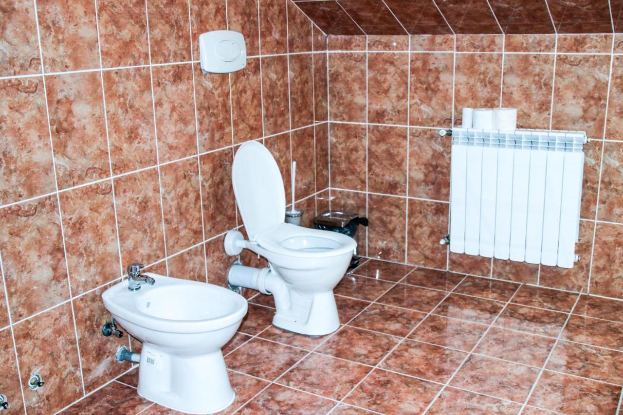 Hotel Corina Borşa Zewnętrze zdjęcie